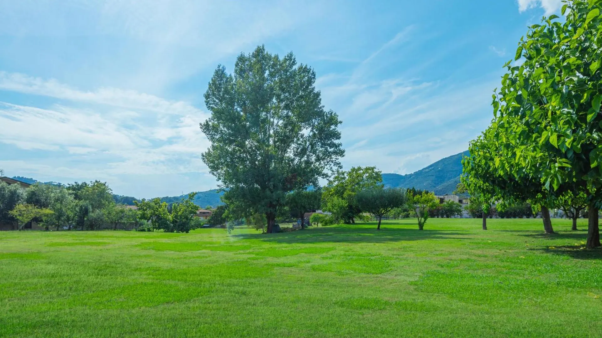 Holiday Home I Pioppi - Cma109 By Interhome Camaiore